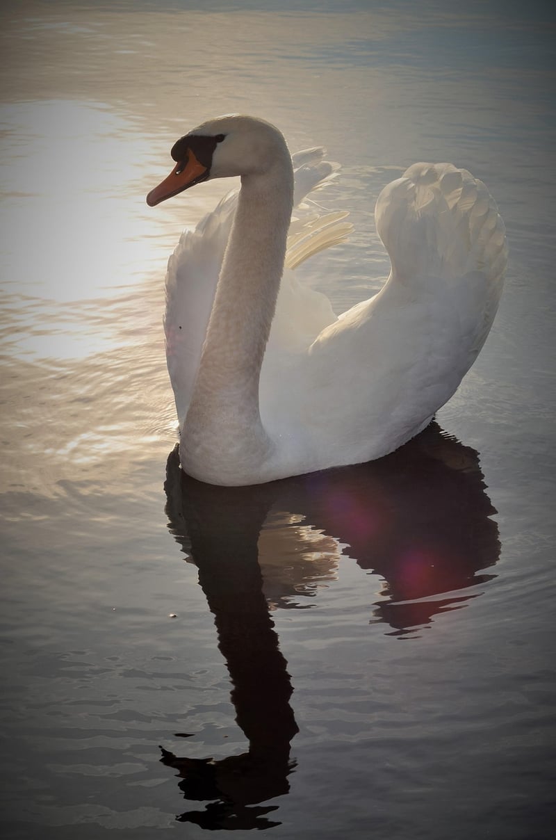 Nature's Majesty